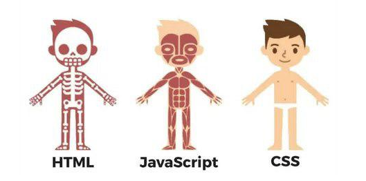 html css y javascript